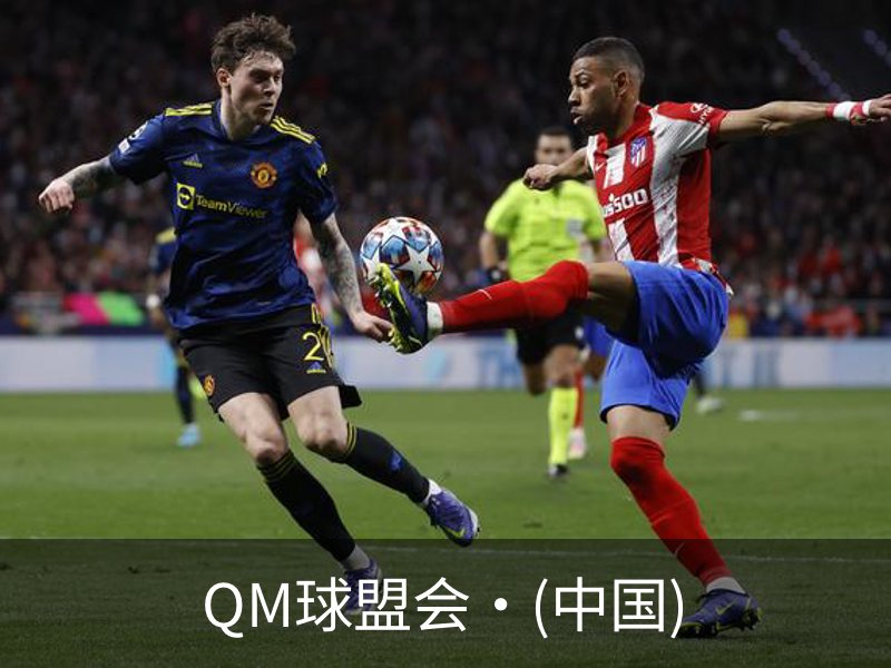 球盟会·qmh(中国)-官方网站
